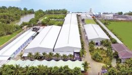 Dừa Vietcoco chinh phục thị trường thế giới 