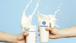 Ai đang thống trị mảng sữa nước ở kênh truyền thống? 