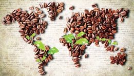 Người dân nước nào uống cà phê nhiều nhất?