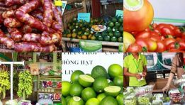 Hà Nội: Hội chợ đặc sản Vùng miền Việt Nam 2017